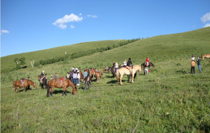 Grassland Tour