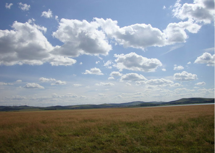 Grassland Tour