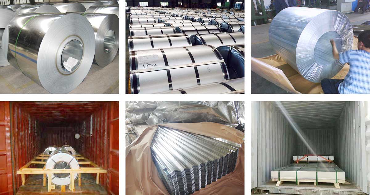 Galvanized Steel Coils