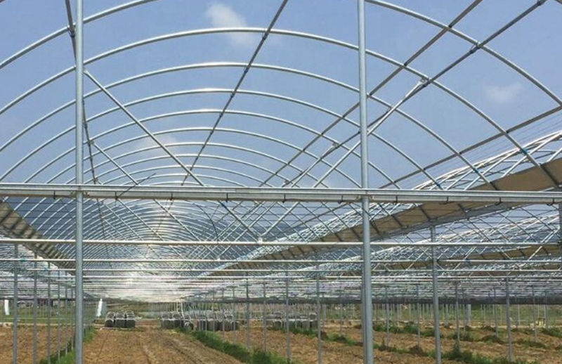 Single span green house