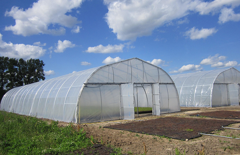 Single span green house