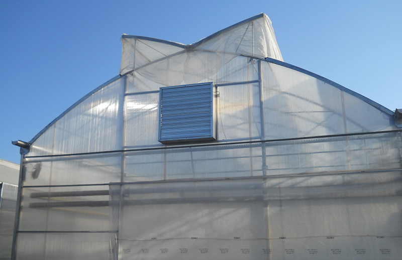 Single span green house